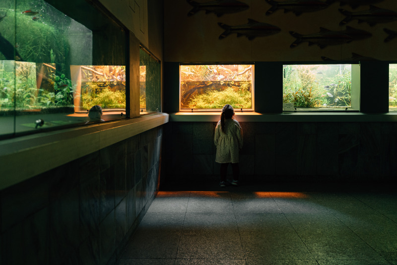 Minnesota homeschool field trips