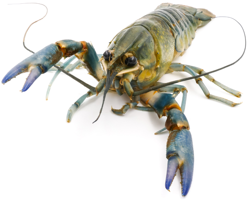 Maine homeschool field trips