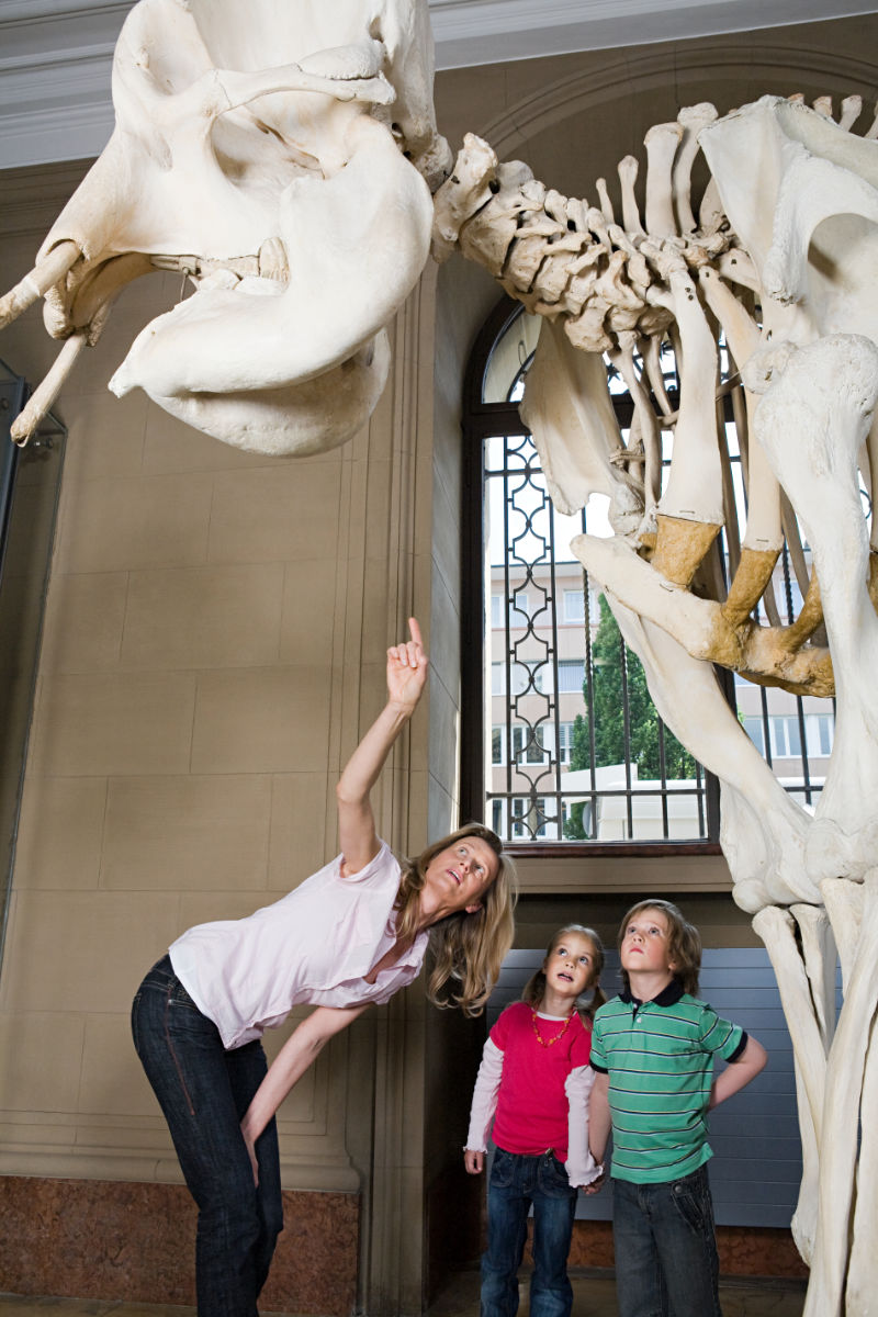 Utah homeschool field trips