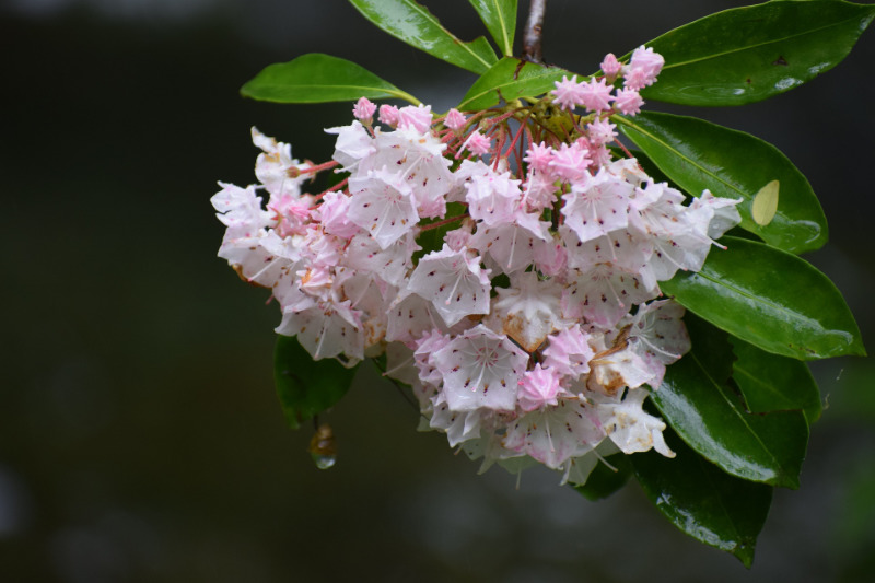 Connecticut homeschool groups