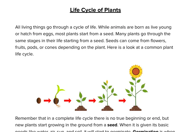 5th grade science worksheets