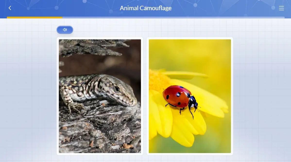 practice_problems_animal_camouflage 1st Grade Science Curriculum